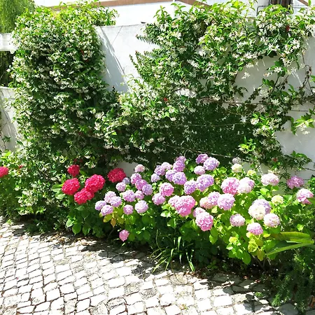 Boutique Casa Do Outeiro - Arts & Crafts Szálloda 4*