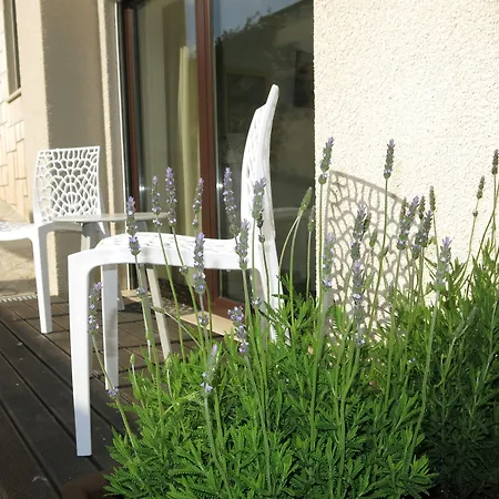 Boutique Casa Do Outeiro - Arts & Crafts 酒店 4*